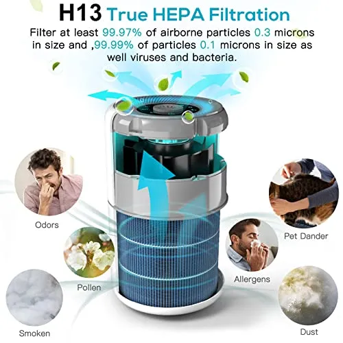 AIRTOK Air Purifier for Home Bedroom with H13 True HEPA Filter for Smoke, Smokers, Dust, Odors, Pollen, Pet Dander | Quiet