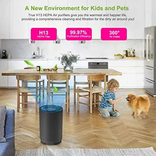 Druiap 2 Pack Druiap Air Purifiers for Home Bedroom up to 690ft², H13 True HEPA Filter Air Cleaner Purify 99.97% Micron