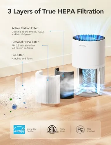 GoveeLife Mini Air Purifier for Bedroom, HEPA Smart Filter Air Purifier with App Alexa Control for Pet Hair, Odors, Pollen,