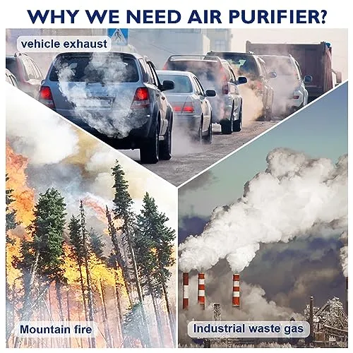 ToLife Air Purifiers for Bedroom Home, HEPA Air Purifiers Air Cleaner For Pets Allergies, Virus Air Purifier for Dust,