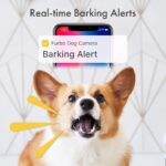 Furbo Dog Camera Barking Alert