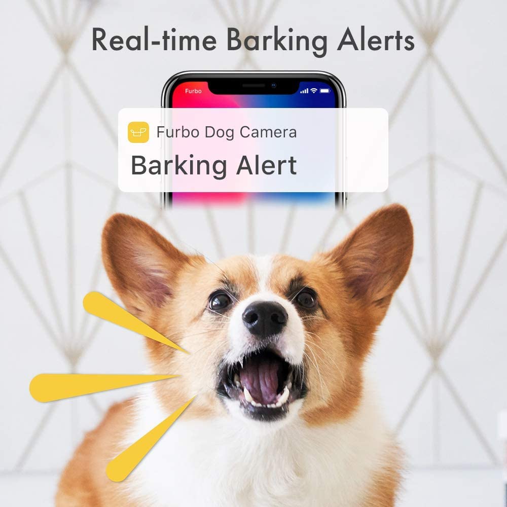 Furbo Dog Camera Barking Alert